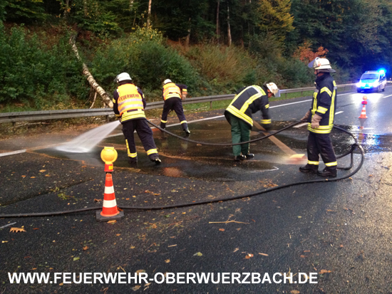 IGB_Obw_BAB6_Baum1_211014_33
