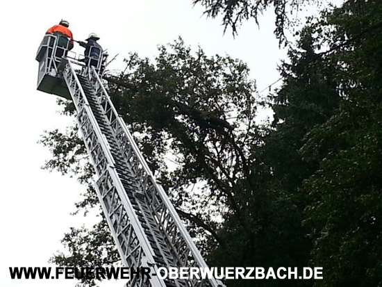 IGB_Obw_Baum_060813_33