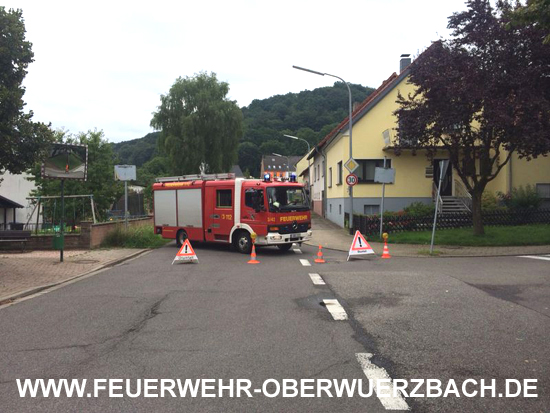 IGB_Obw_Oelspur_020814_66