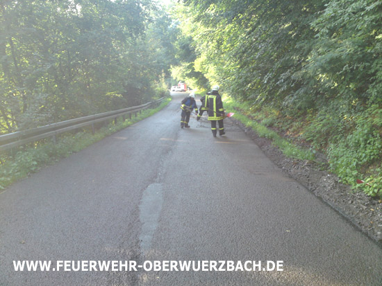 IGB_Obw_TH_120711_11