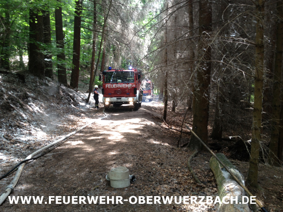 IGB_Obw_Wald_270614_22