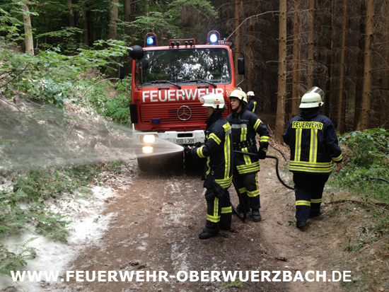 IGB_Obw_Wald_270614_44